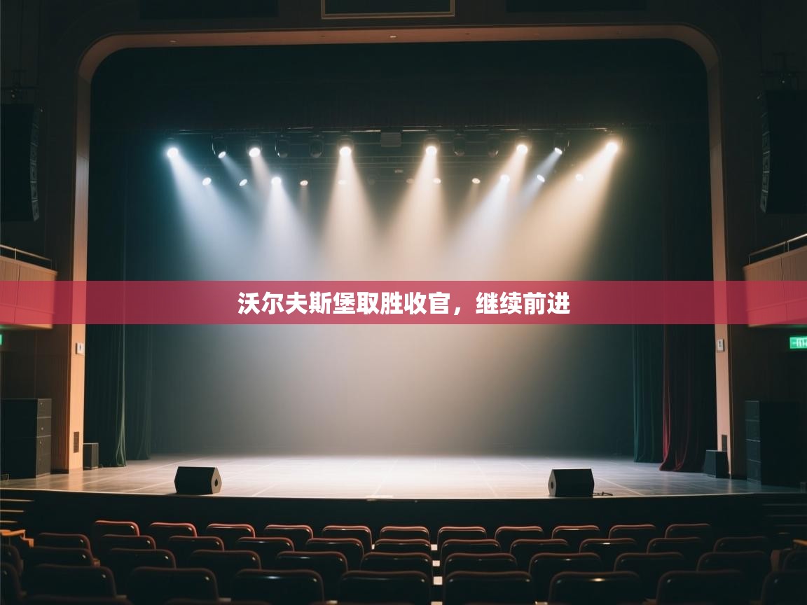 沃尔夫斯堡取胜收官，继续前进  第1张