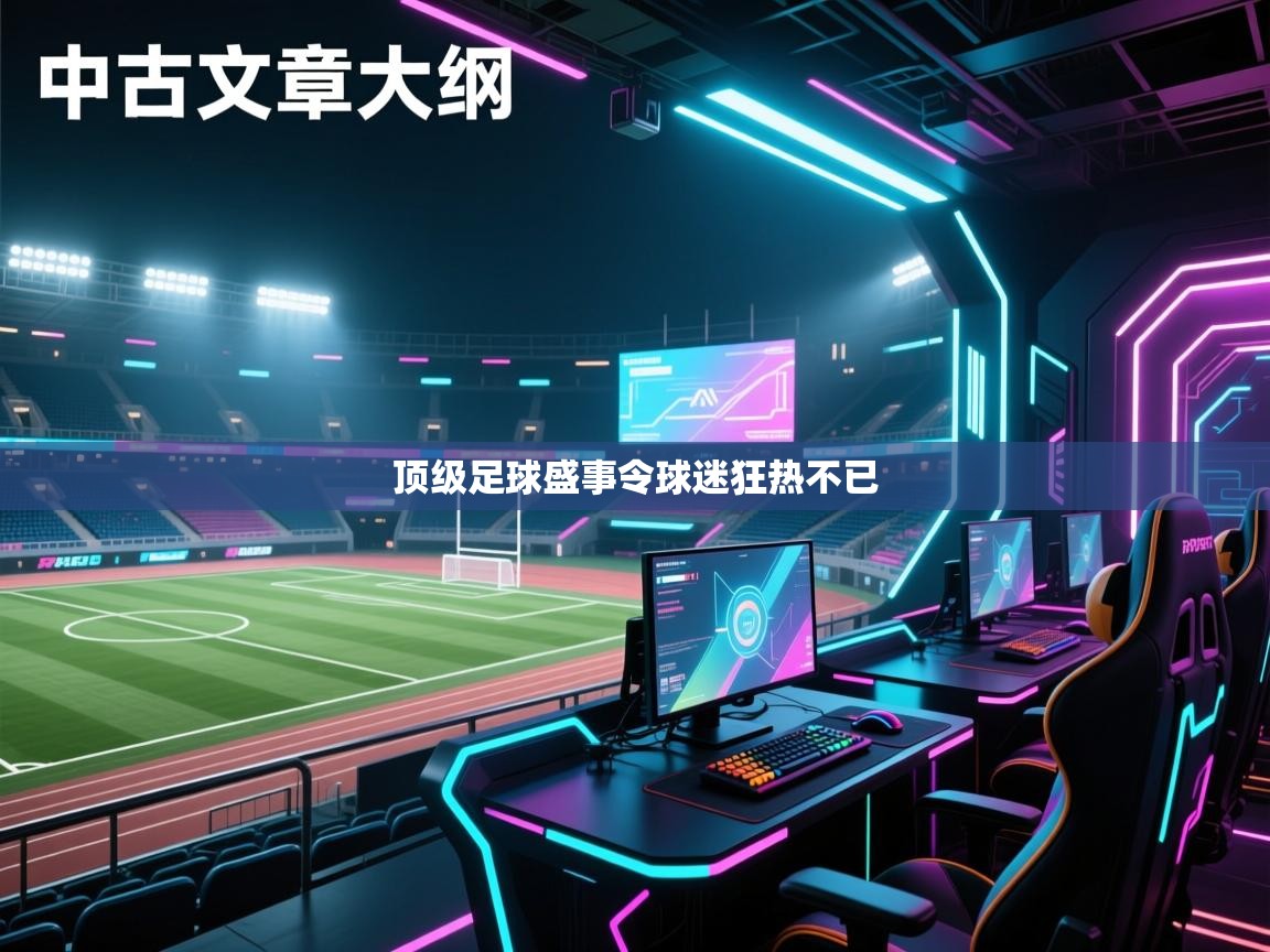 顶级足球盛事令球迷狂热不已  第2张