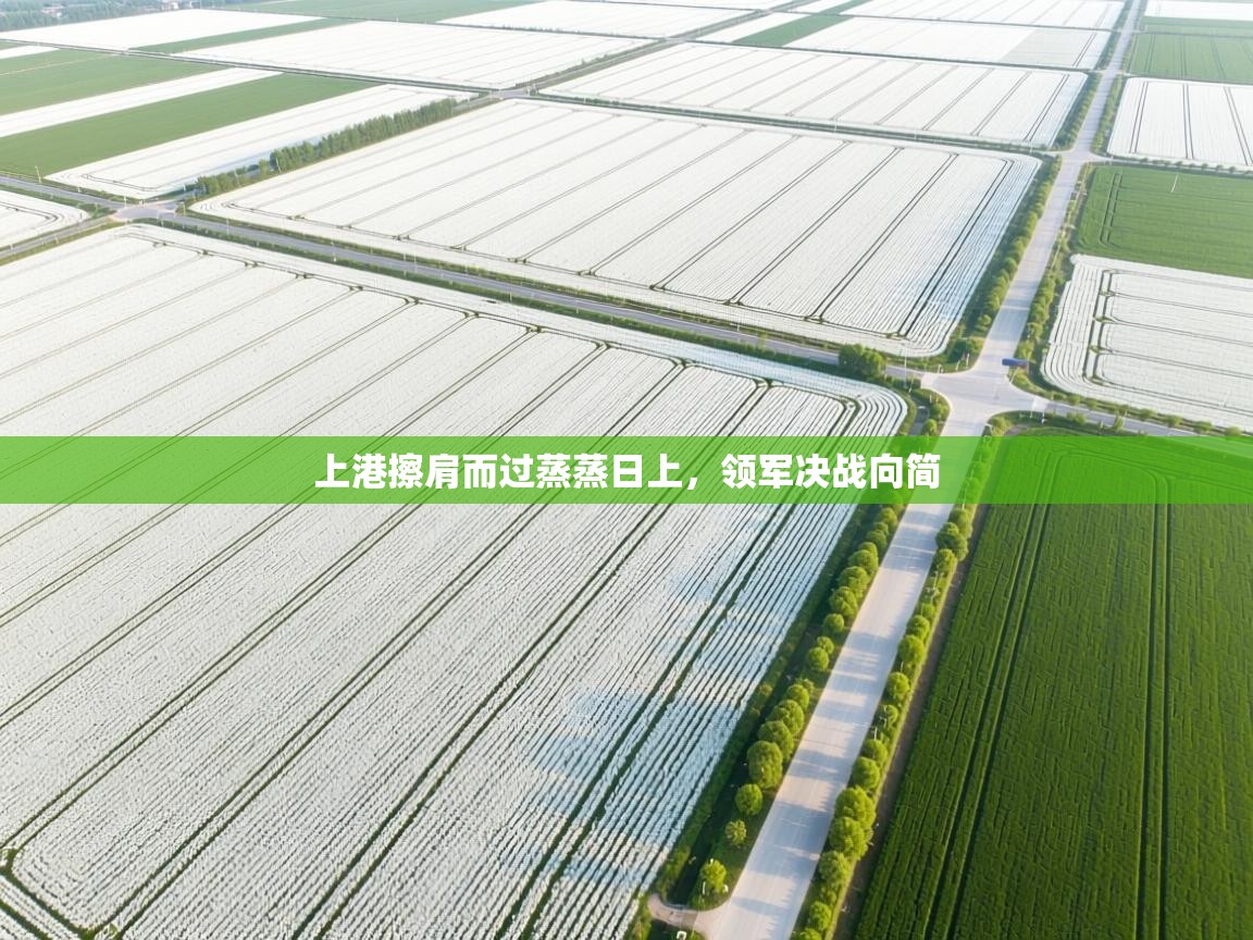 上港擦肩而过蒸蒸日上，领军决战向简  第2张