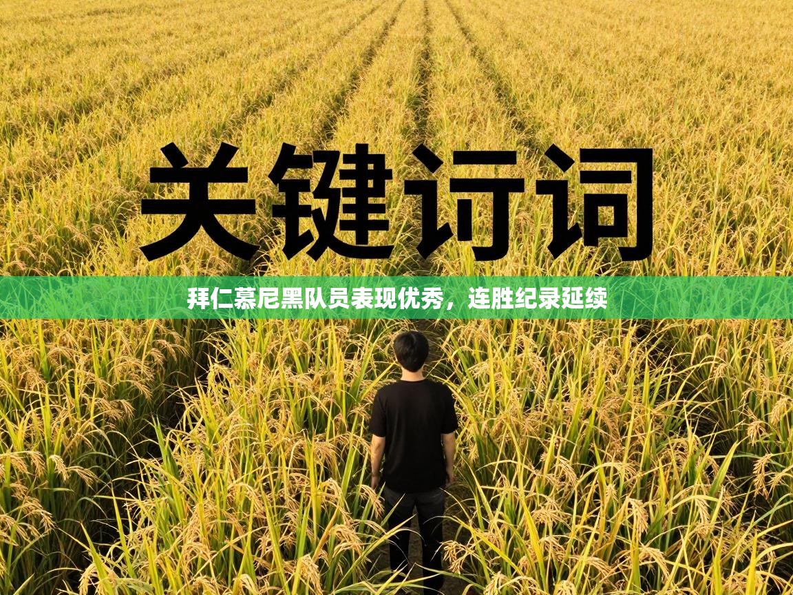 拜仁慕尼黑队员表现优秀，连胜纪录延续  第2张